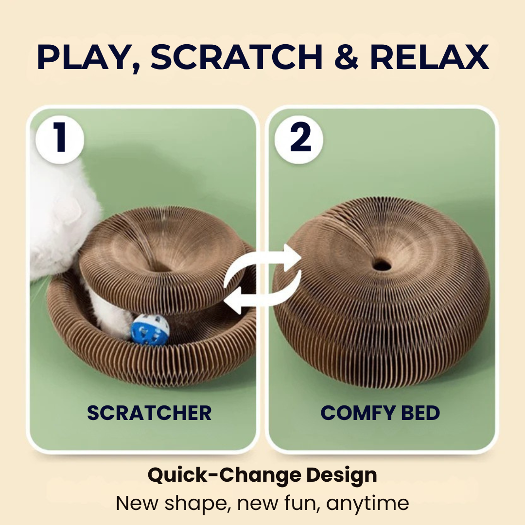 KittyKanvas™ Magic Accordion Scratcher