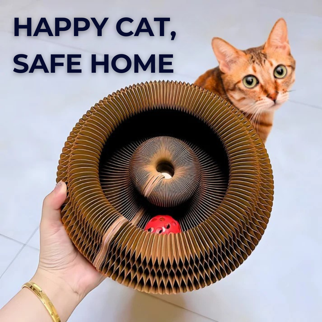 KittyKanvas™ Magic Accordion Scratcher