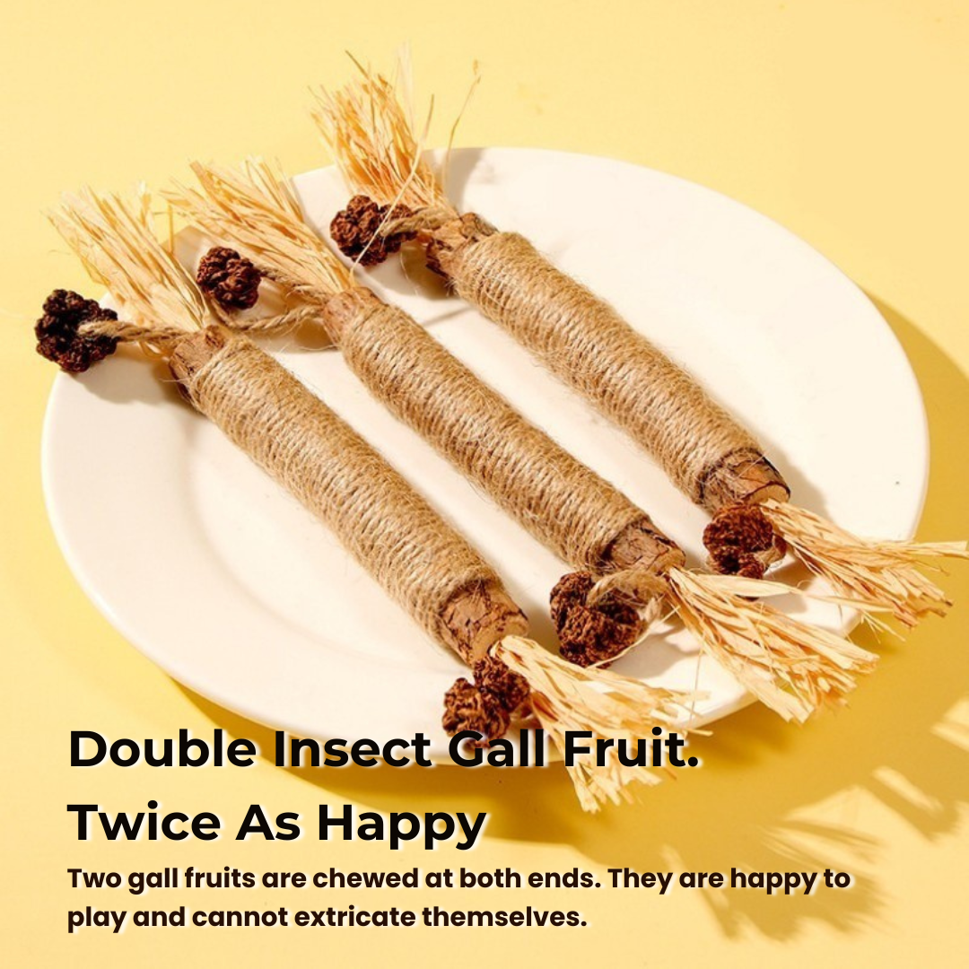 3x Raffia Dental Sticks