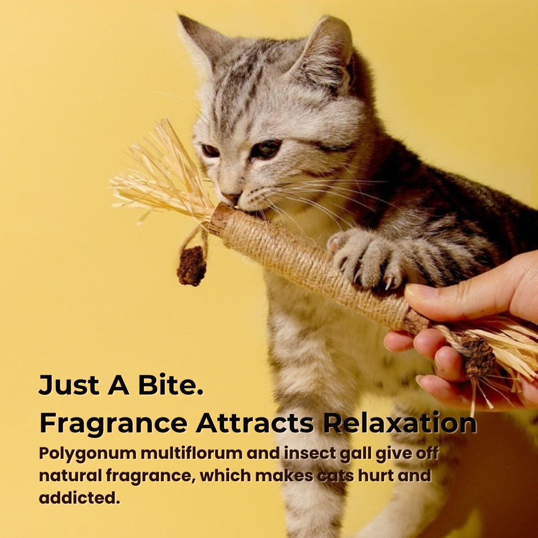 3x Raffia Dental Sticks