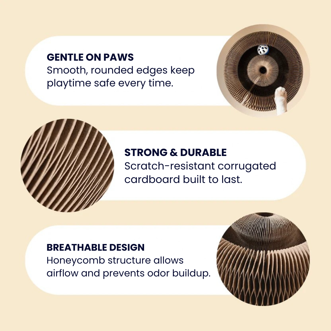 KittyKanvas™ Magic Accordion Scratcher