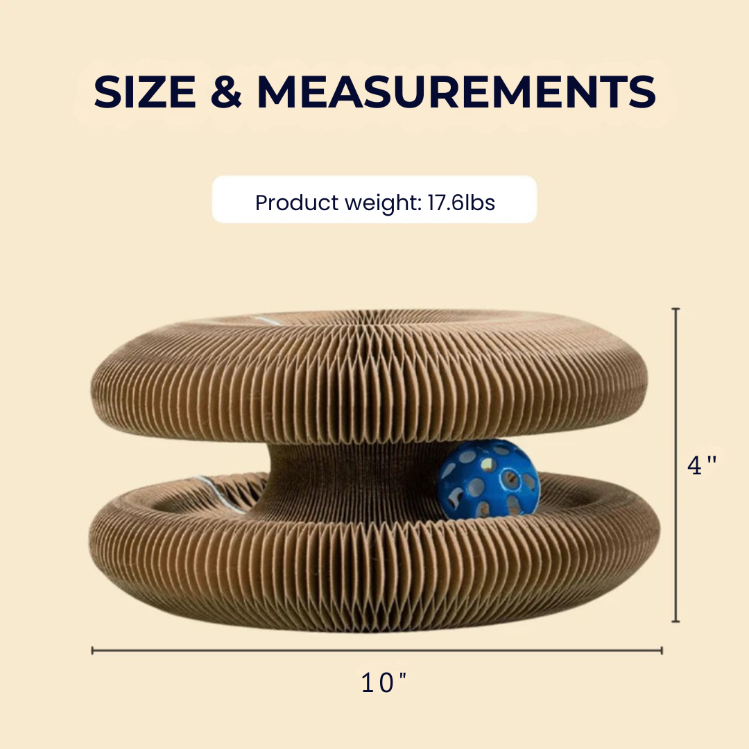 KittyKanvas™ Magic Accordion Scratcher