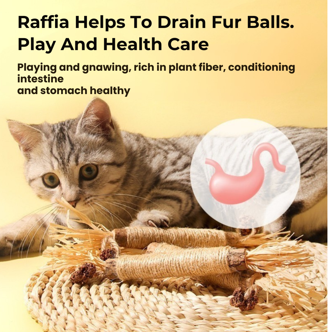 3x Raffia Dental Sticks