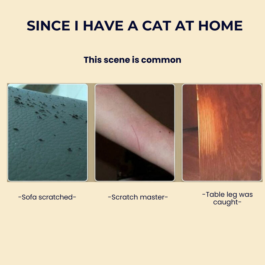 Anti Cat Scratch Furniture Protectors