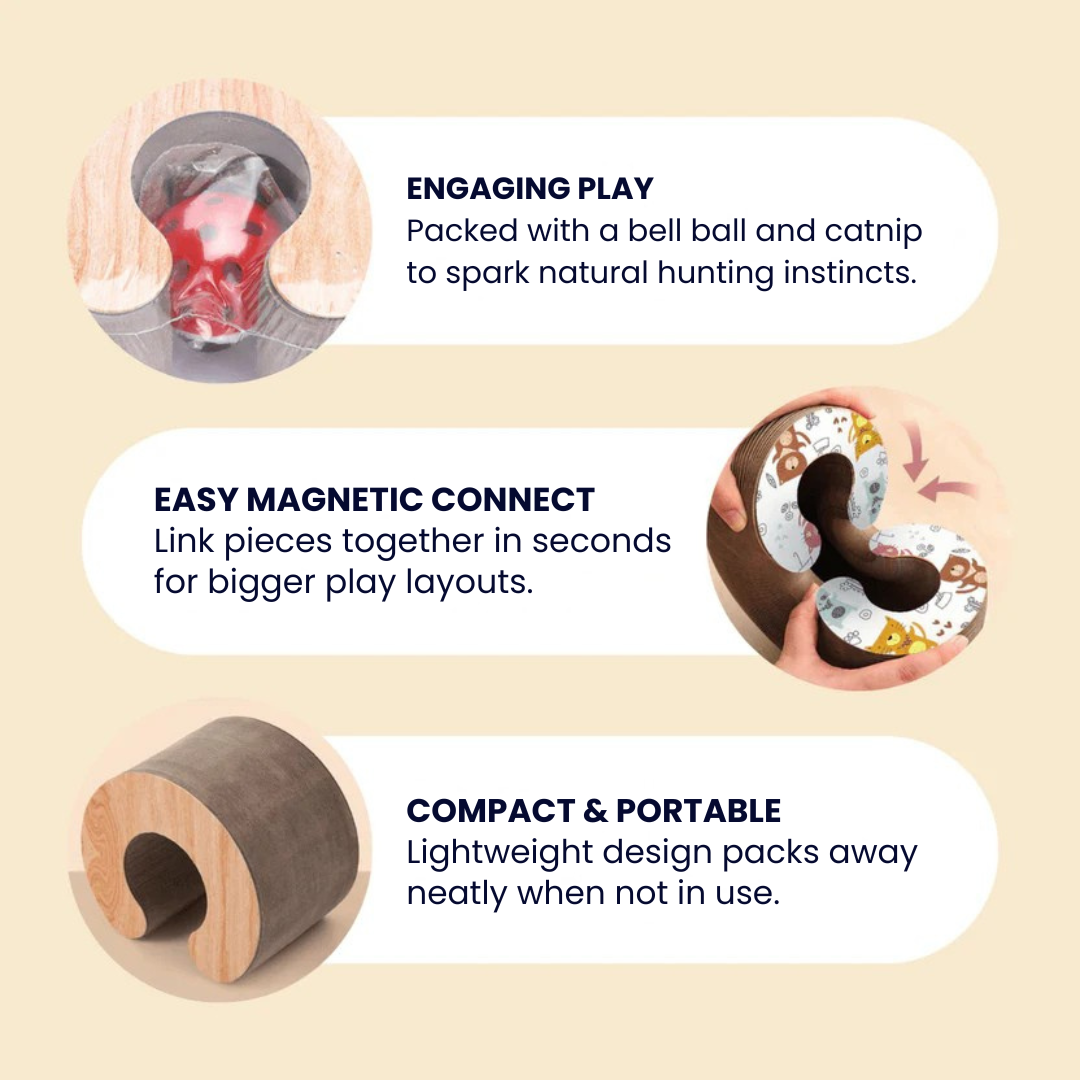 KittyKanvas™ Magic Accordion Scratcher