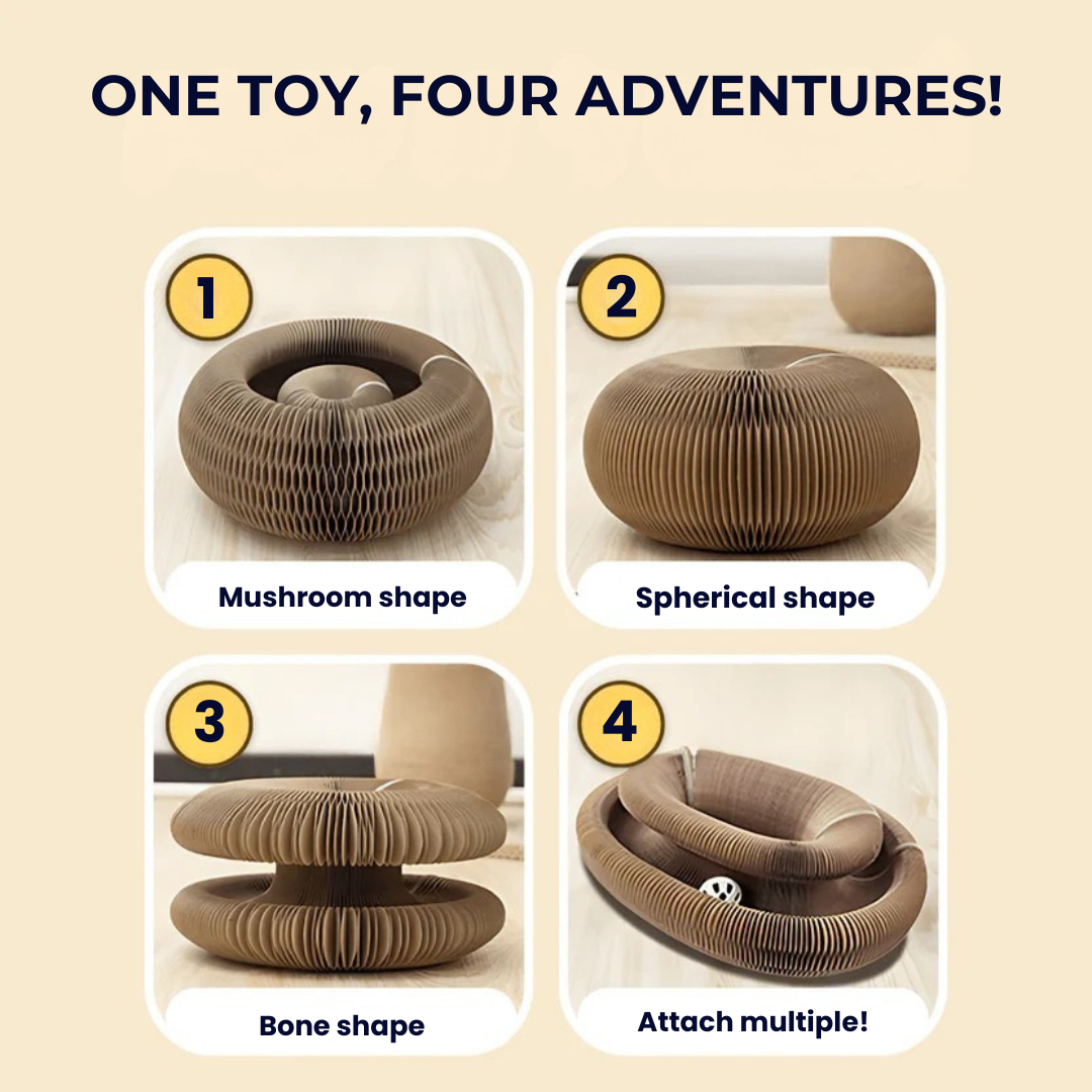 KittyKanvas™ Magic Accordion Scratcher