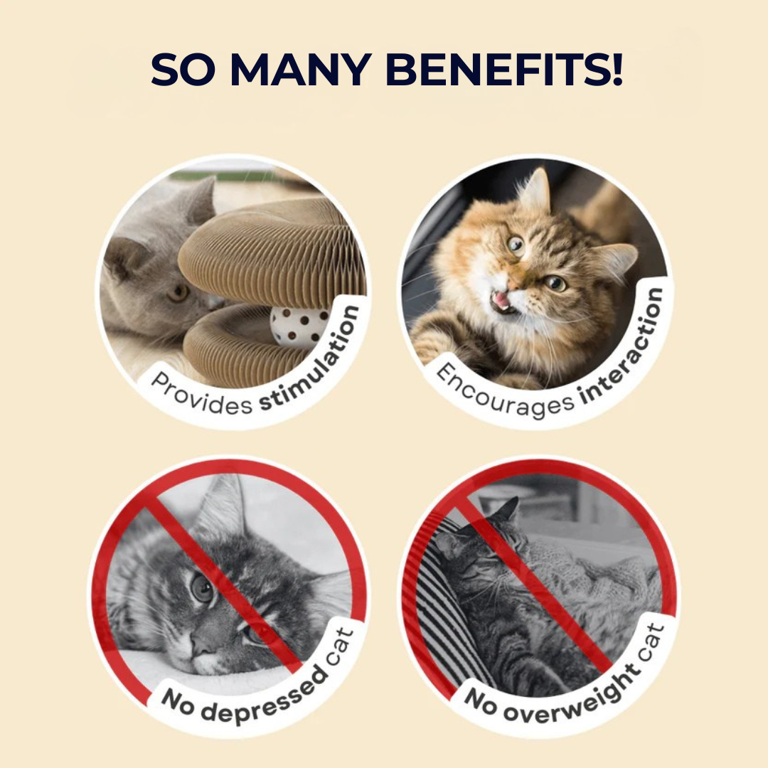 KittyKanvas™ Magic Accordion Scratcher