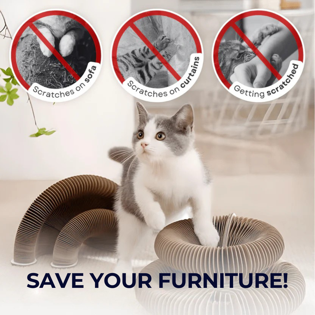 KittyKanvas™ Magic Accordion Scratcher